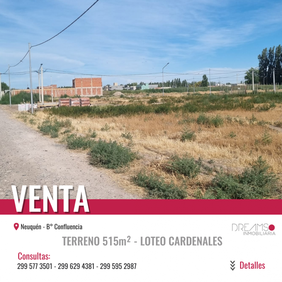 VENTA Terreno 515 m2  -  LOTEO Cardenales - B° Confluencia - Neuquen