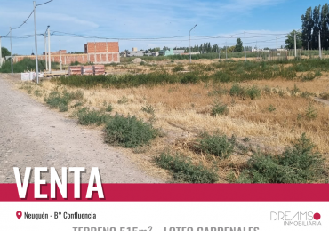 VENTA Terreno 515 m2  -  LOTEO Cardenales - B° Confluencia - Neuquen